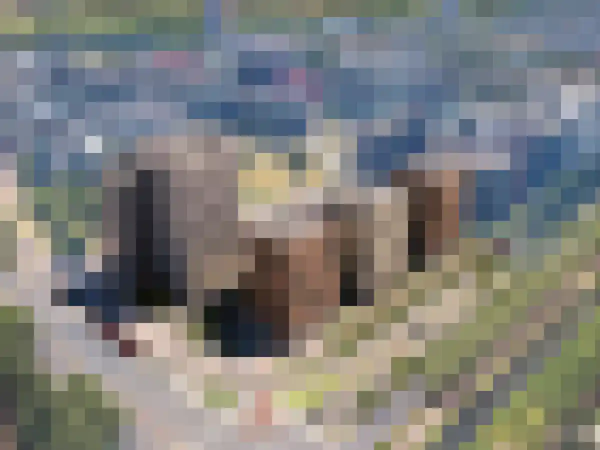 Volmerlaan 2 Rijswijk