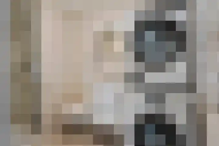 Volmerlaan 4 F008 Rijswijk thumbnail 18