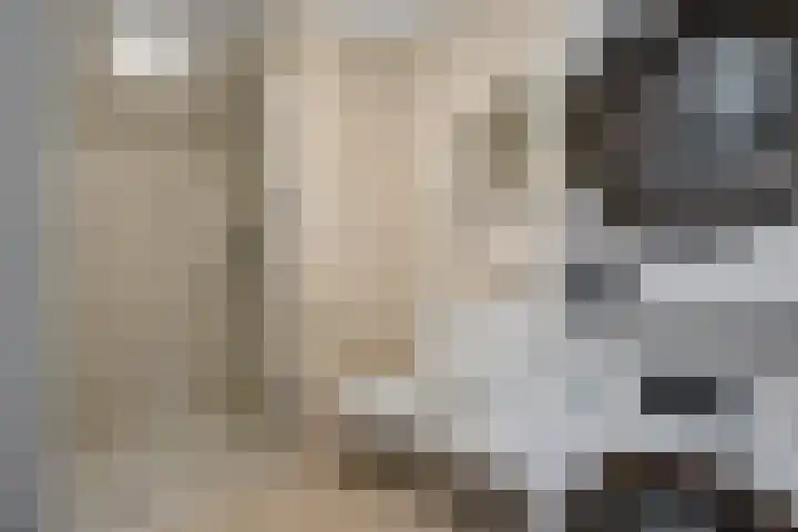 Volmerlaan 4 F008 Rijswijk thumbnail 19