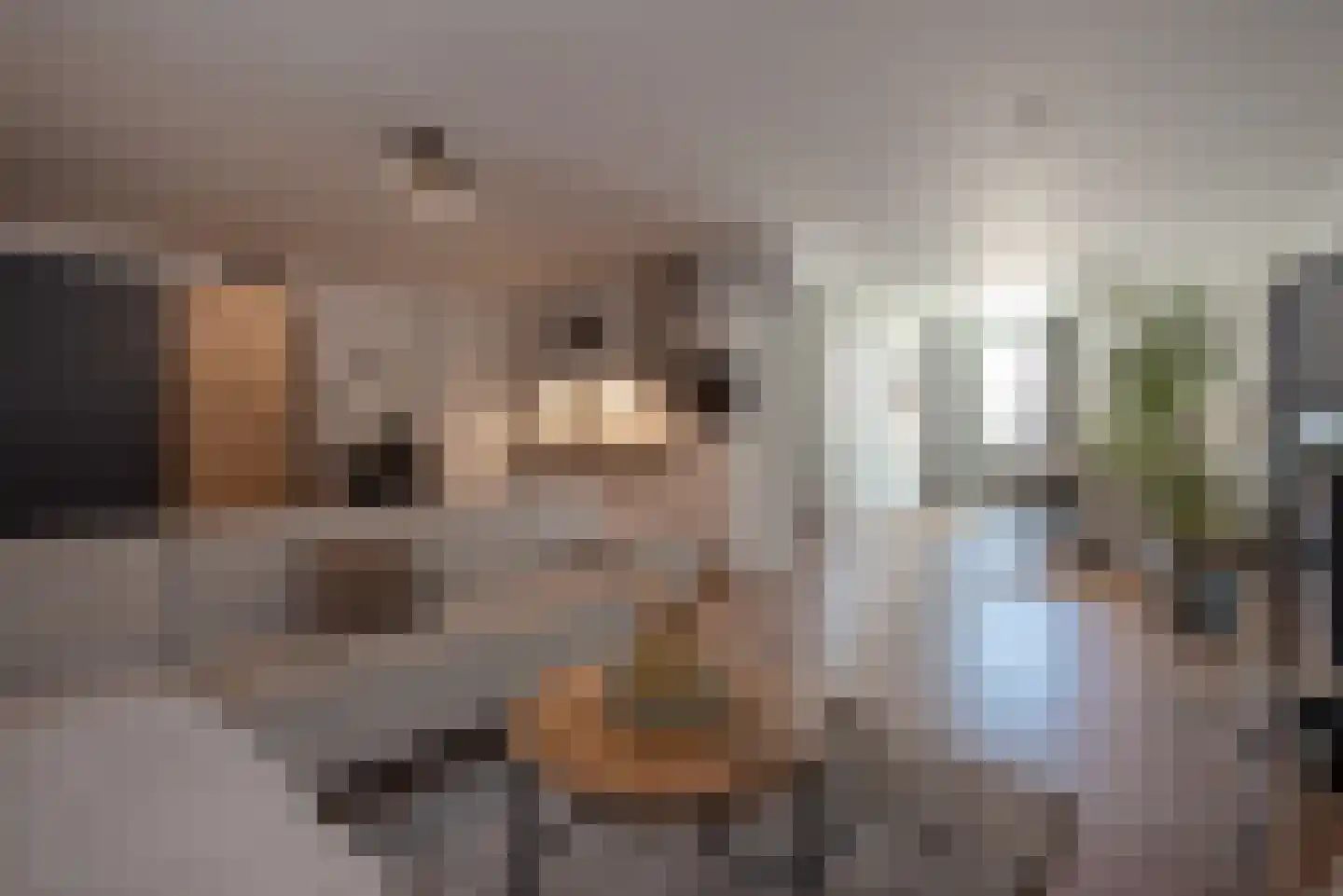 Volmerlaan 4 F011 Rijswijk thumbnail 12