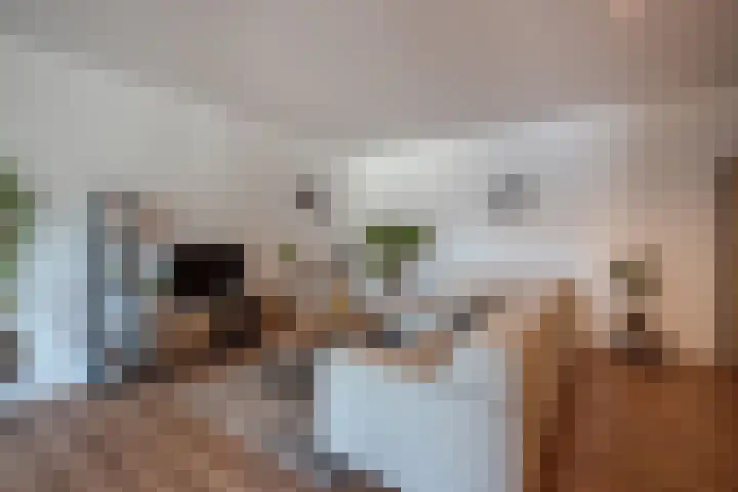 Volmerlaan 4 F011 Rijswijk thumbnail 9