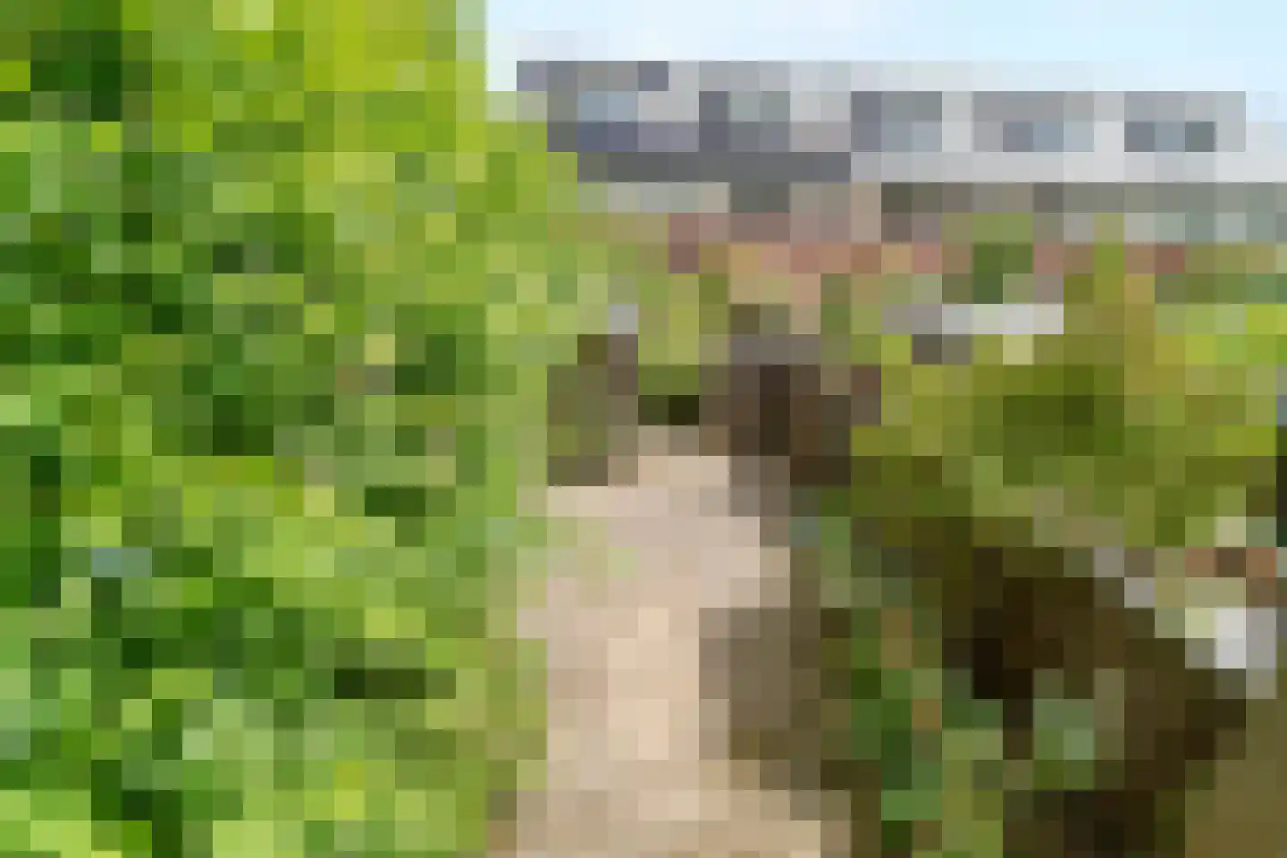 Volmolen 1 Delft thumbnail 27