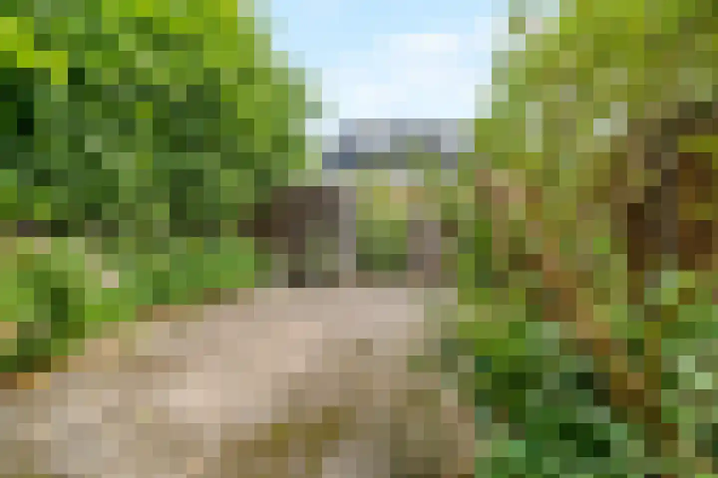 Volmolen 1 Delft thumbnail 32