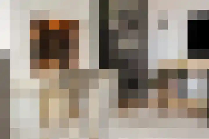 Volmolengracht 1 Leiden thumbnail 10