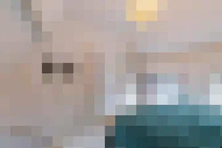 Volmolengracht 1 Leiden thumbnail 15