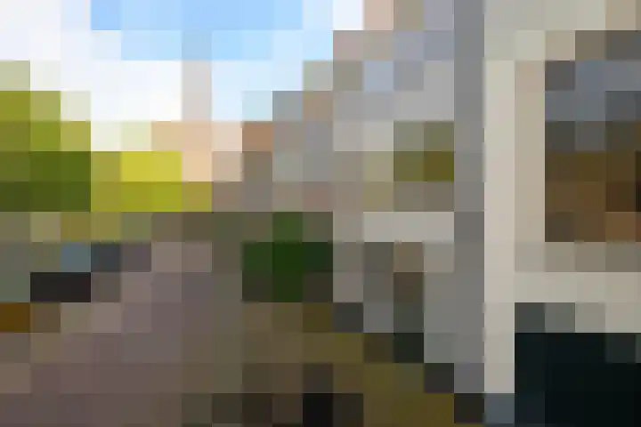 Volmolengracht 1 Leiden thumbnail 17