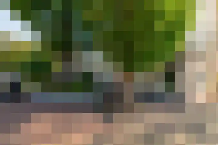 Volmolengracht 1 Leiden thumbnail 19