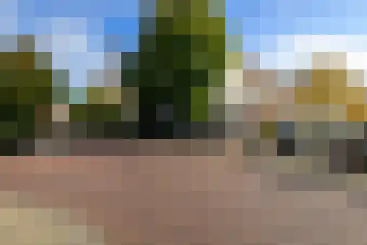 Volmolengracht 1 Leiden thumbnail 20