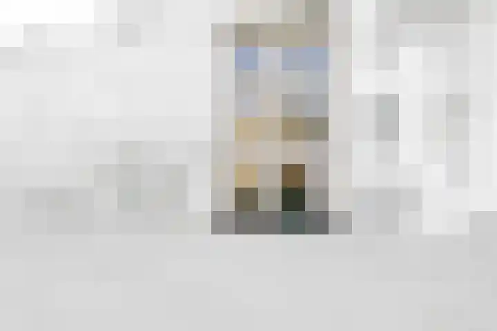 Volmolengracht 1 Leiden thumbnail 21