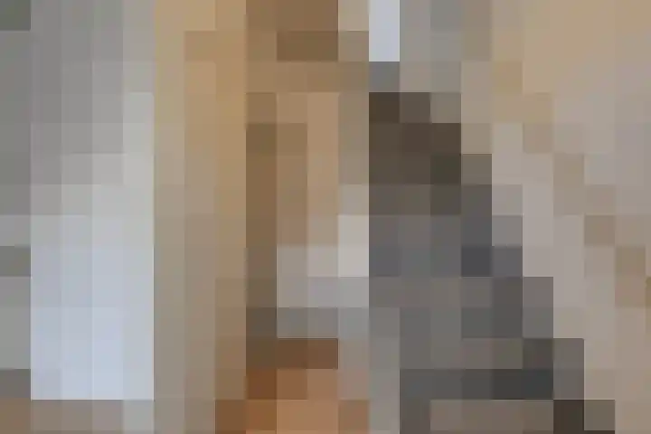 Volmolengracht 1 Leiden thumbnail 5