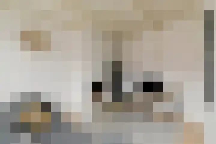 Volmolengracht 1 Leiden thumbnail 7