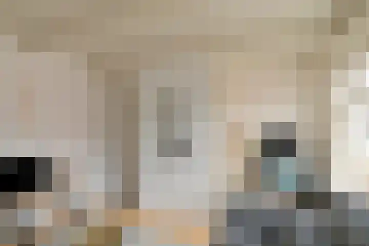 Volmolengracht 1 Leiden thumbnail 8