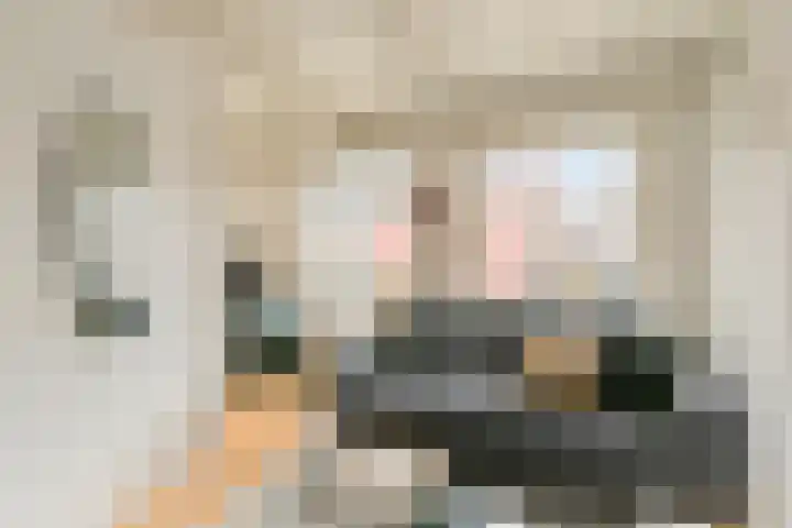 Volmolengracht 1 Leiden thumbnail 9