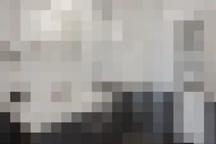 Volmolengracht 16 Leiden thumbnail 15