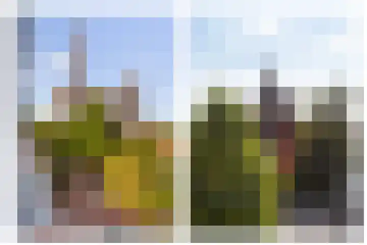 Volmolengracht 16 Leiden thumbnail 19