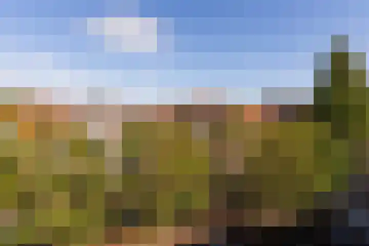 Volmolengracht 16 Leiden thumbnail 20