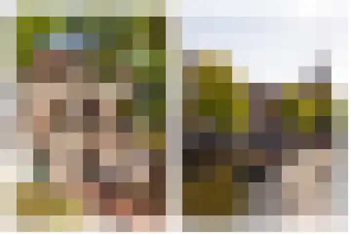 Volmolengracht 16 Leiden thumbnail 23
