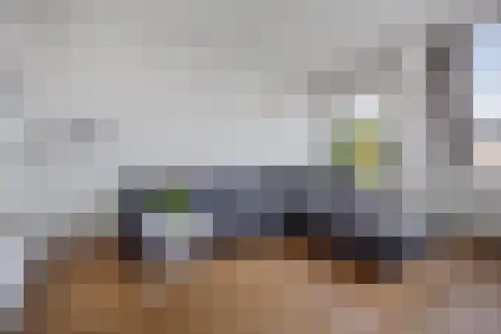 Volmolengracht 16 Leiden thumbnail 5