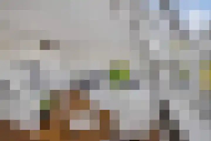 Volmolengracht 16 Leiden thumbnail 8