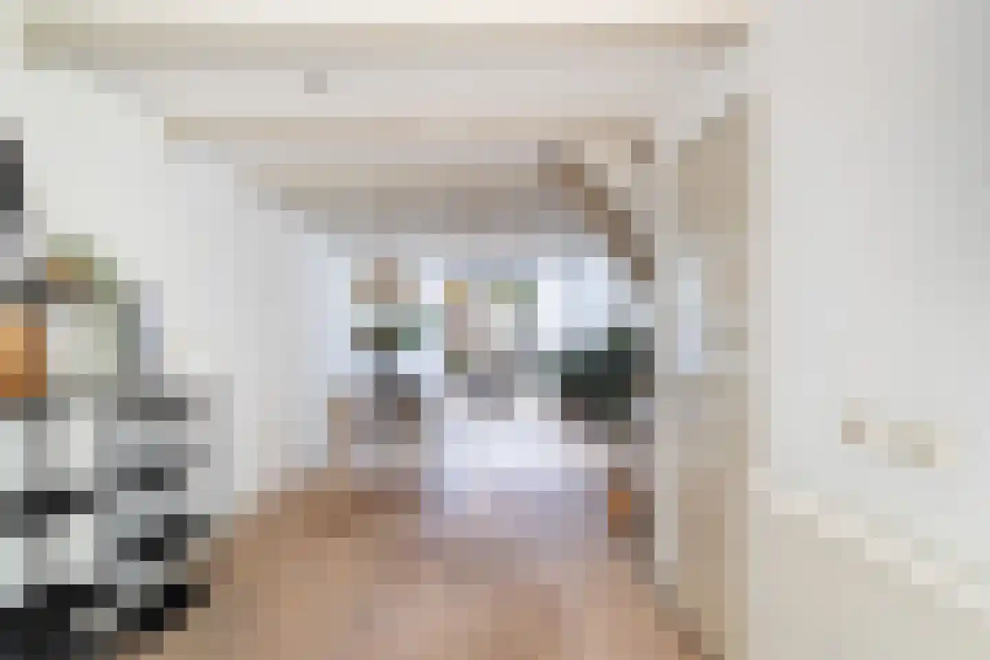 Volmolengracht 20 Leiden thumbnail 14