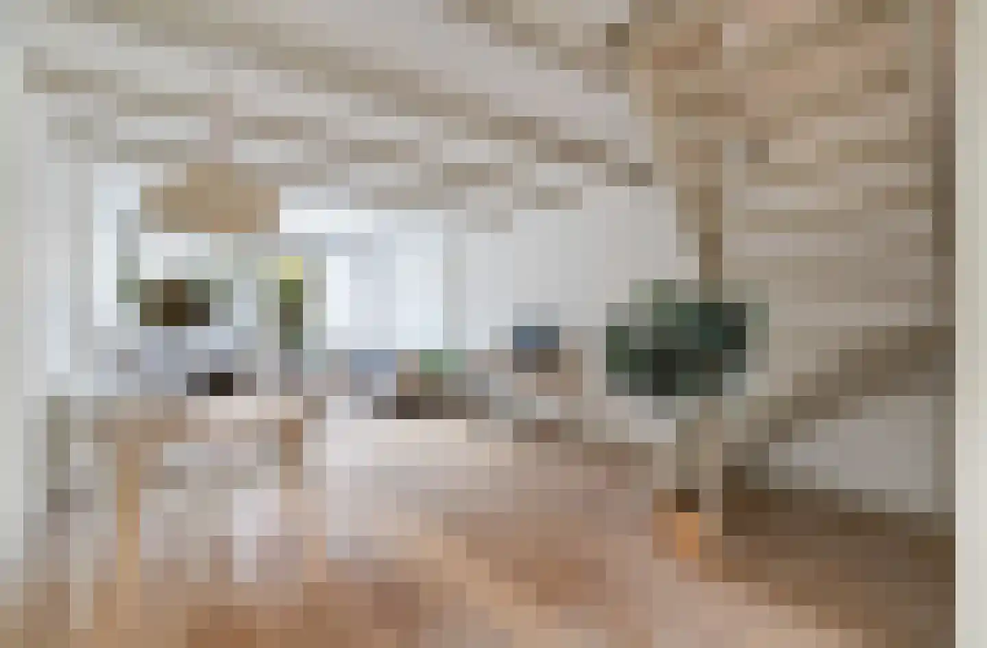 Volmolengracht 20 Leiden thumbnail 15