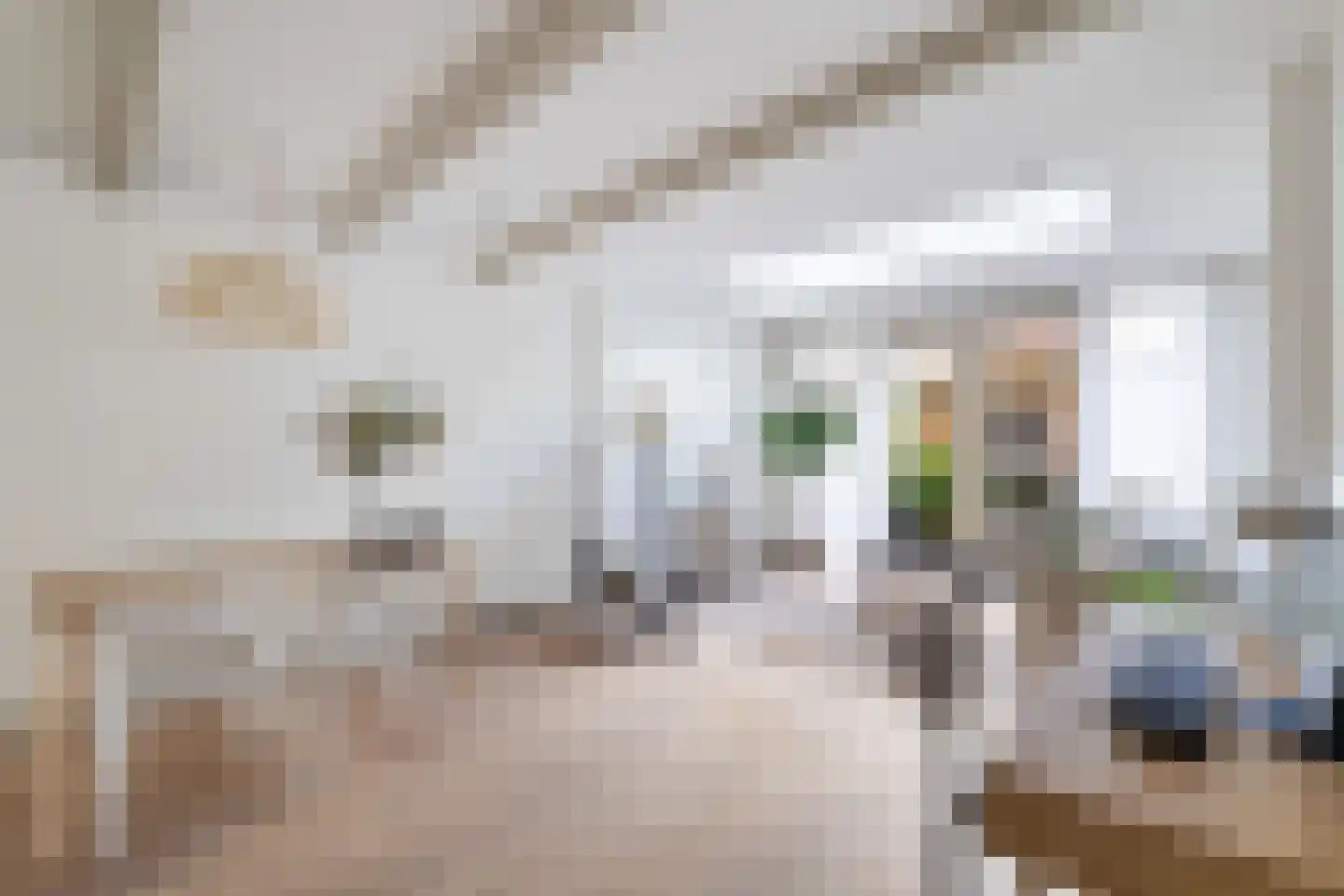 Volmolengracht 20 Leiden thumbnail 16