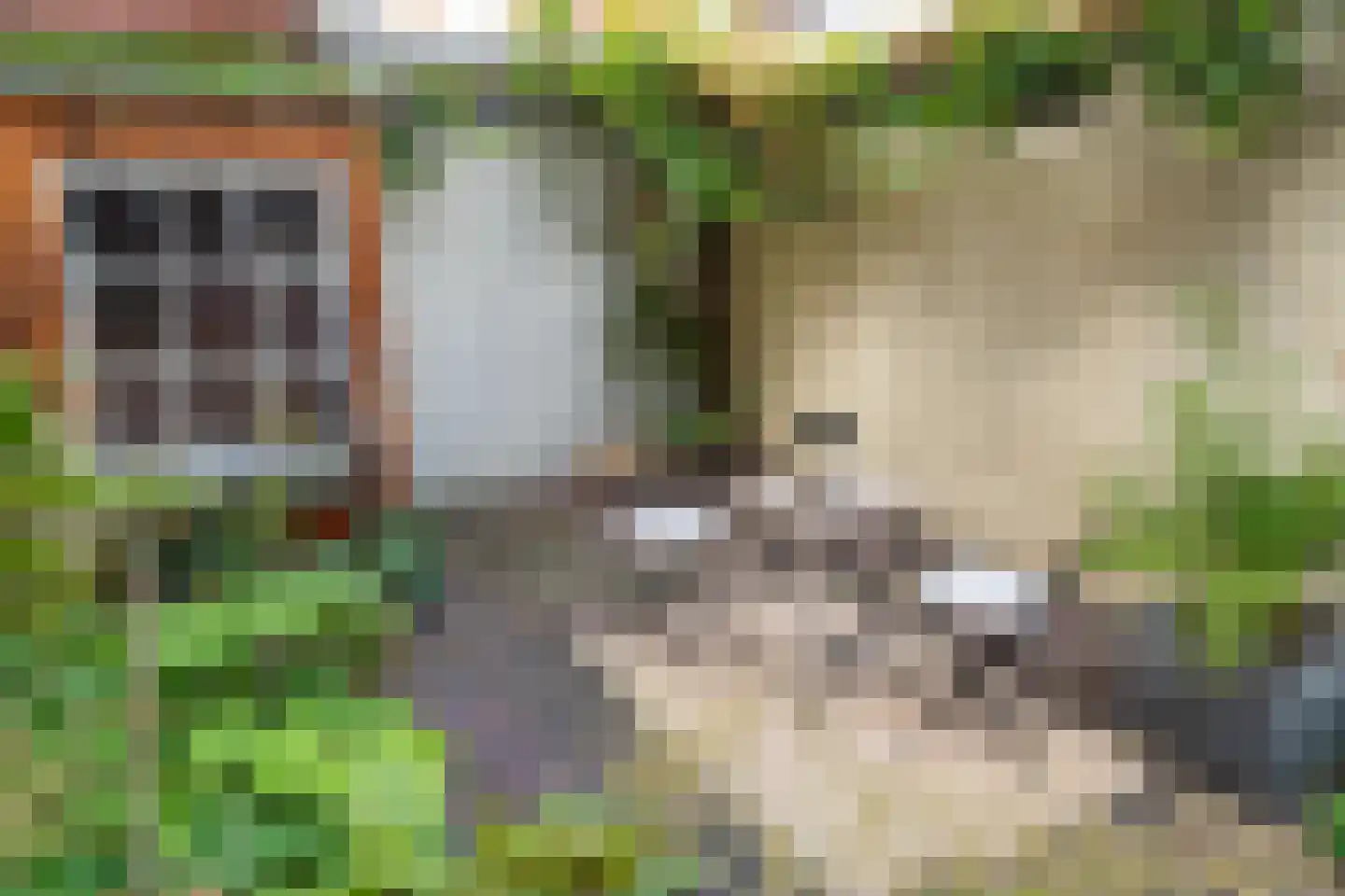 Volmolengracht 20 Leiden thumbnail 25