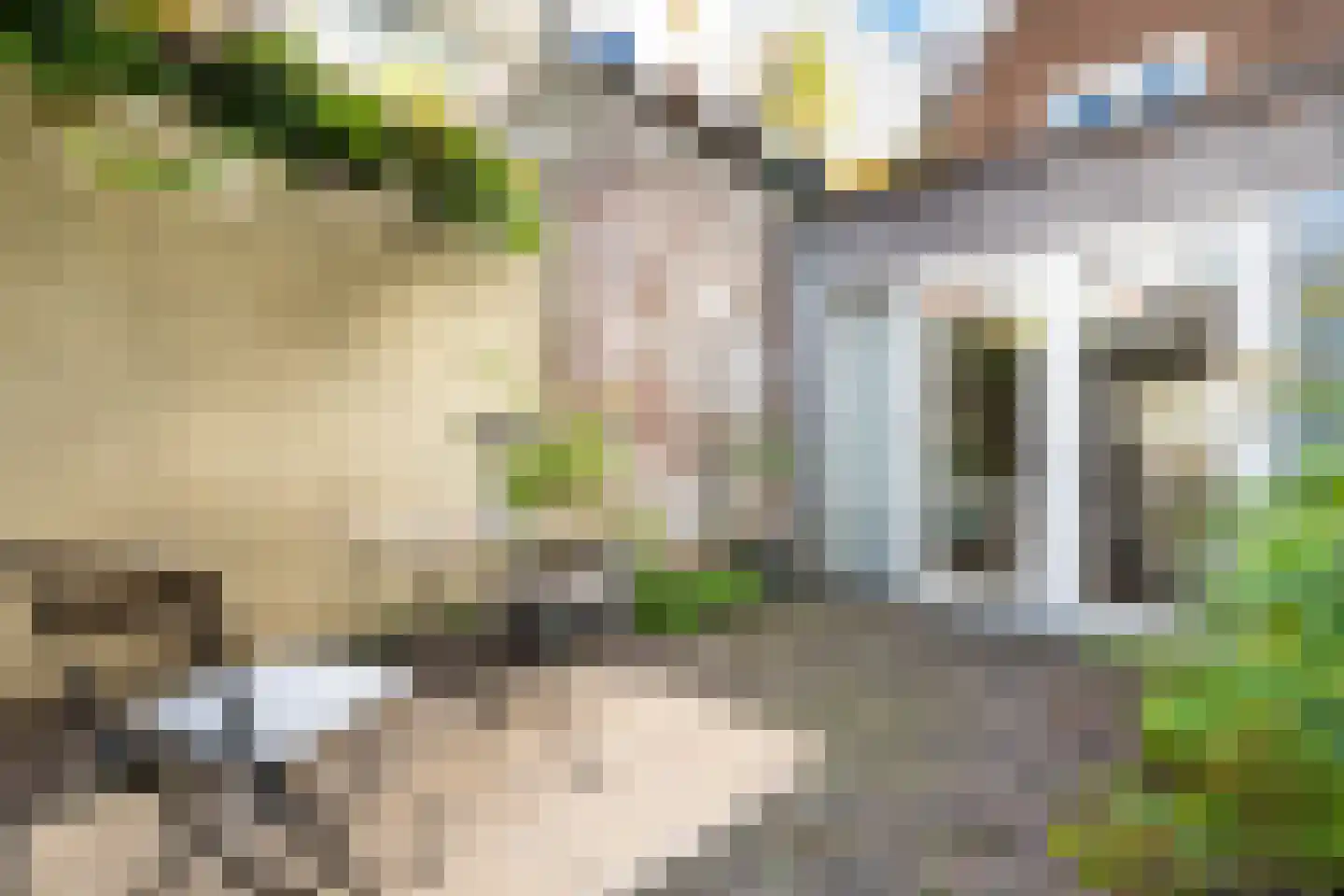 Volmolengracht 20 Leiden thumbnail 28