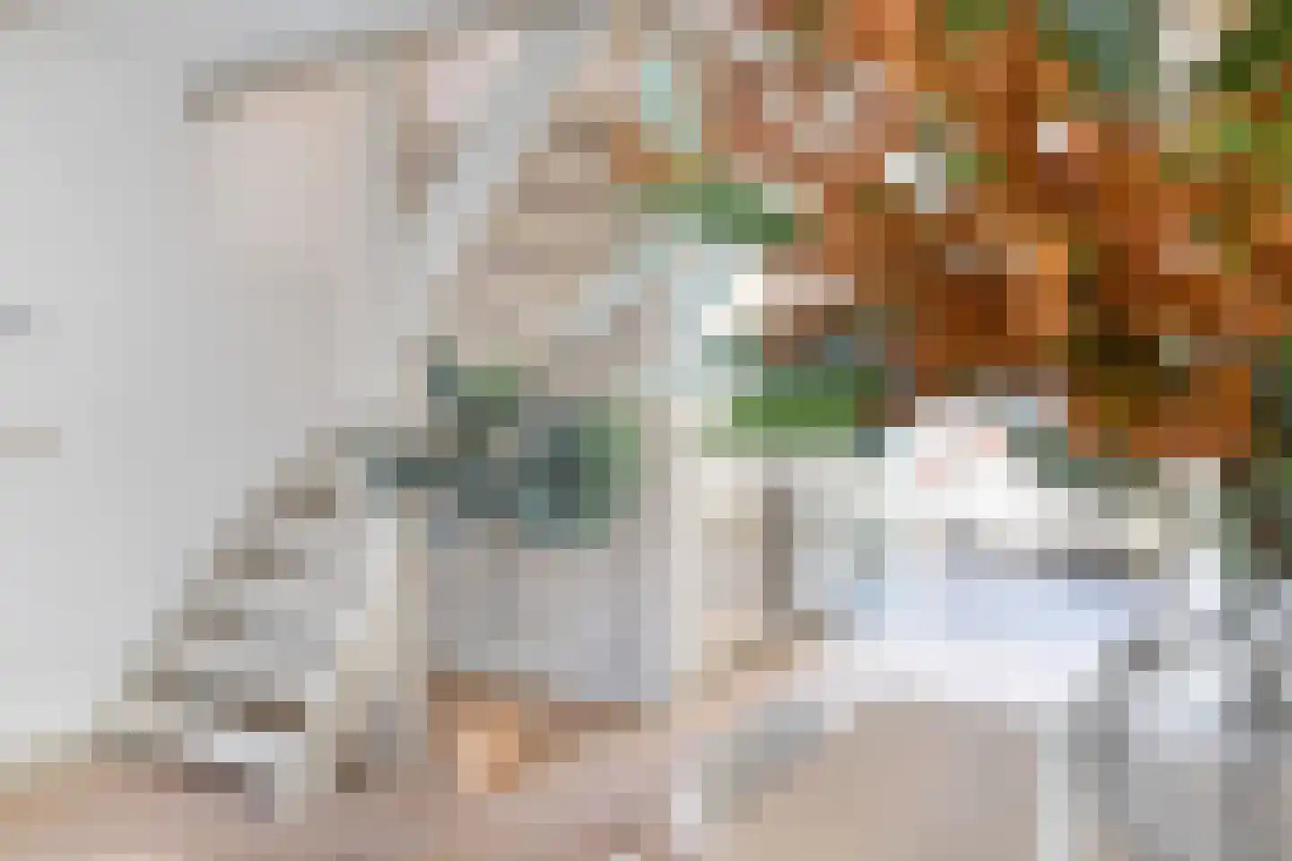 Volmolengracht 20 Leiden thumbnail 38
