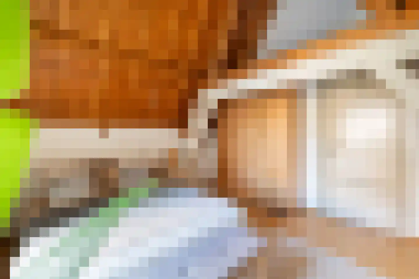 Volmolengracht 20 Leiden thumbnail 41