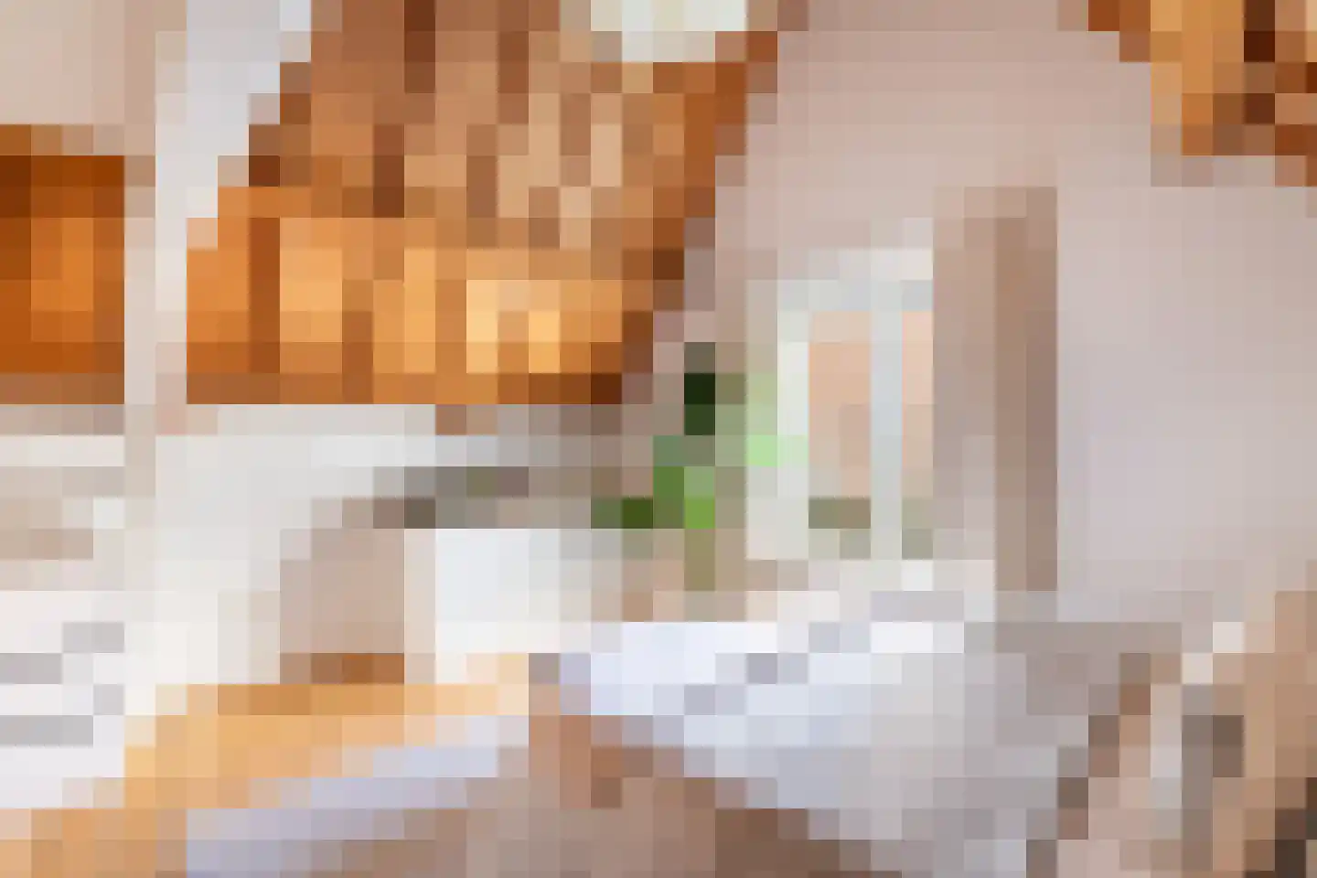 Volmolengracht 20 Leiden thumbnail 43
