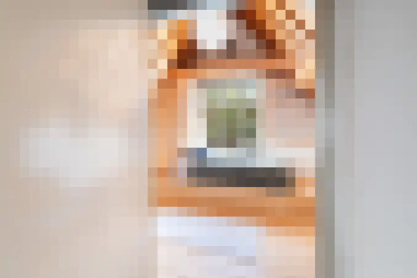 Volmolengracht 20 Leiden thumbnail 44