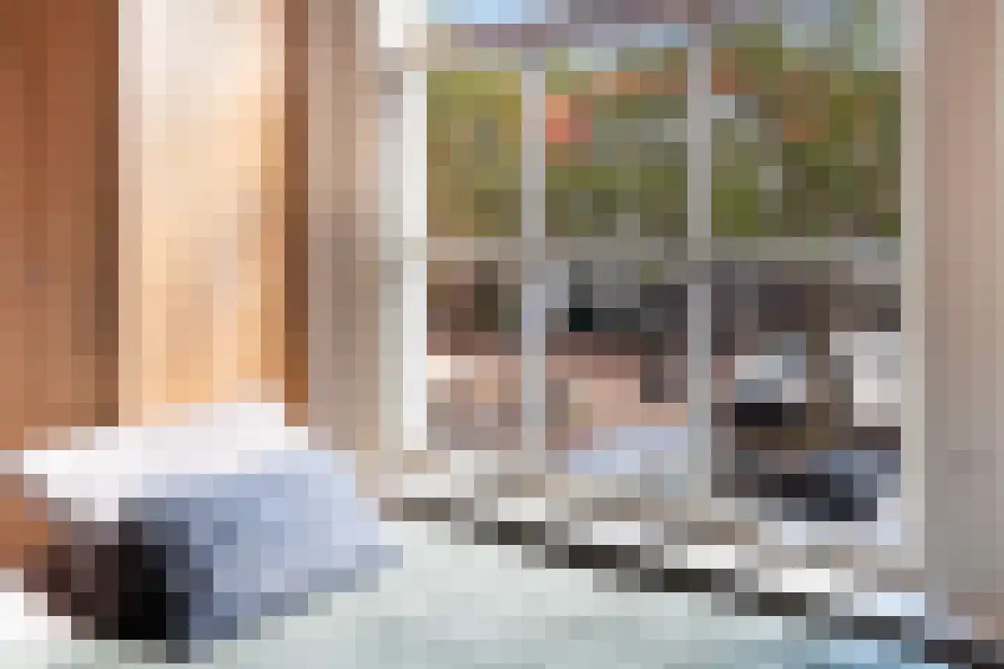 Volmolengracht 20 Leiden thumbnail 48