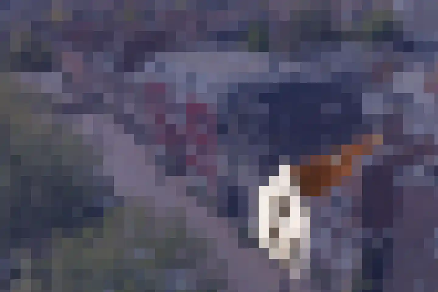 Volmolengracht 20 Leiden thumbnail 6