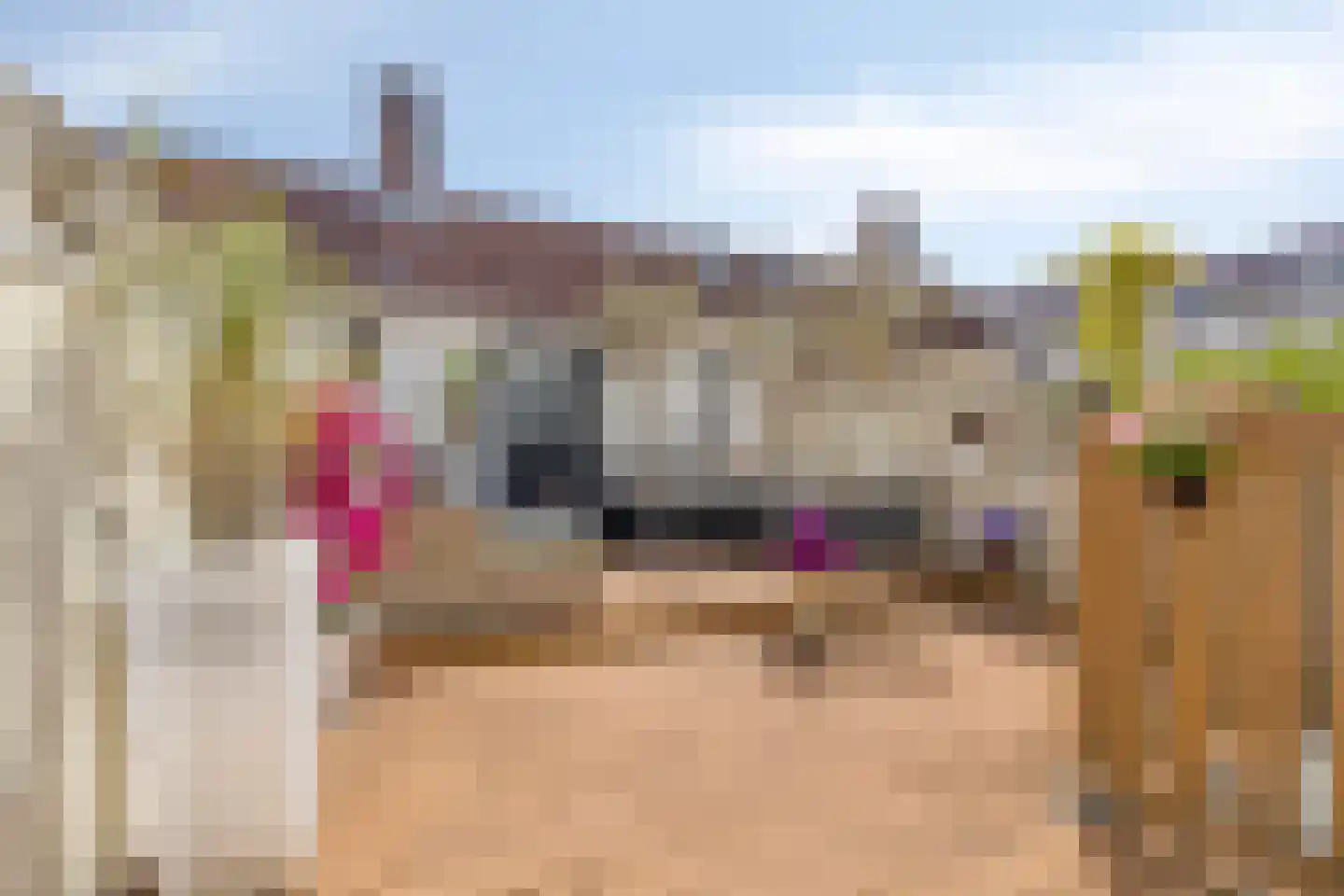 Volmolengracht 21 Leiden thumbnail 13