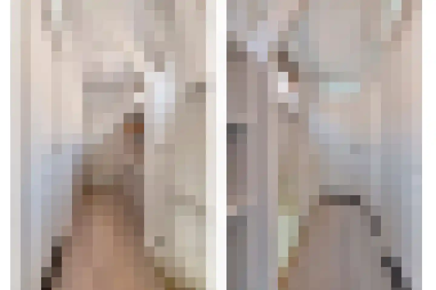 Volmolengracht 21 Leiden thumbnail 17