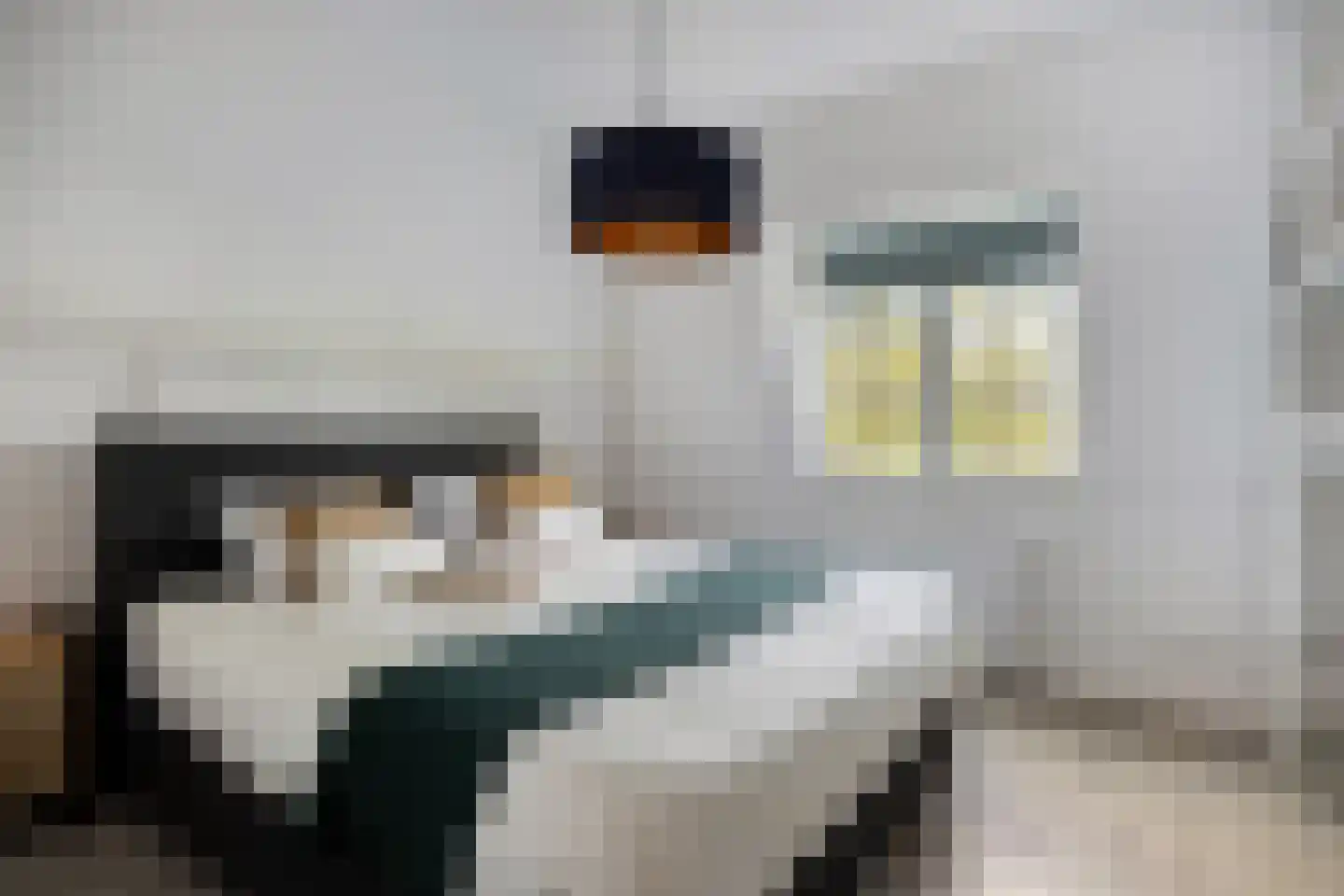 Volmolengracht 21 Leiden thumbnail 18