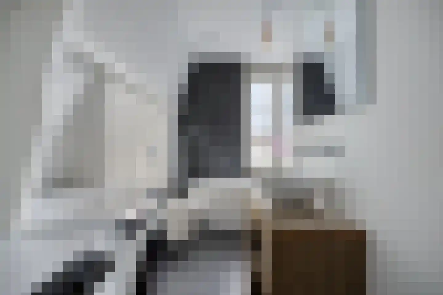 Volmolengracht 21 Leiden thumbnail 19