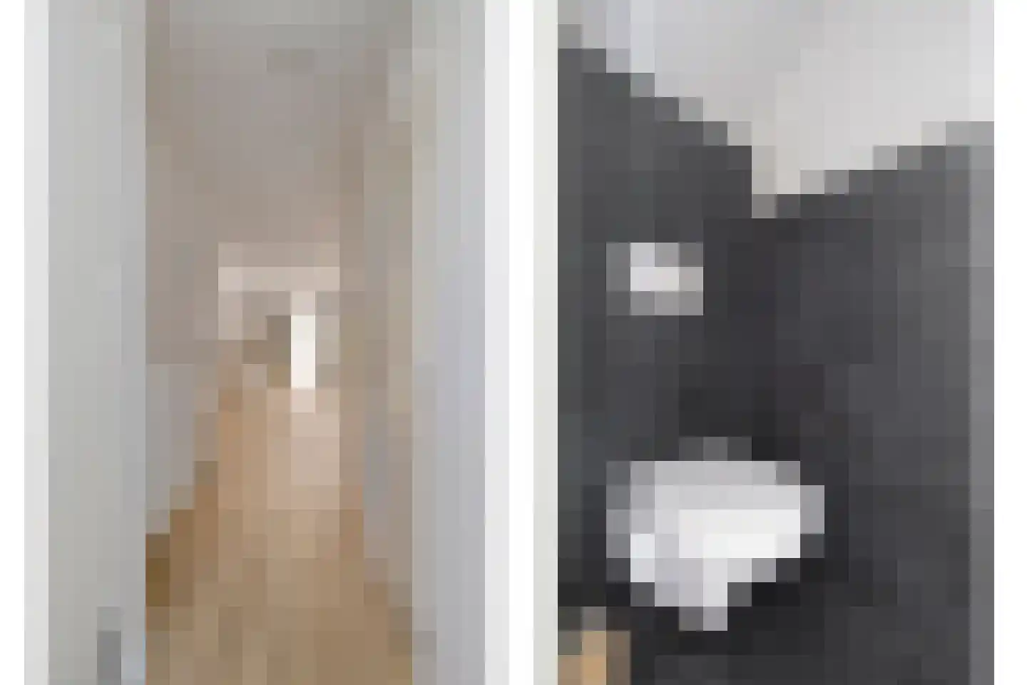 Volmolengracht 21 Leiden thumbnail 25