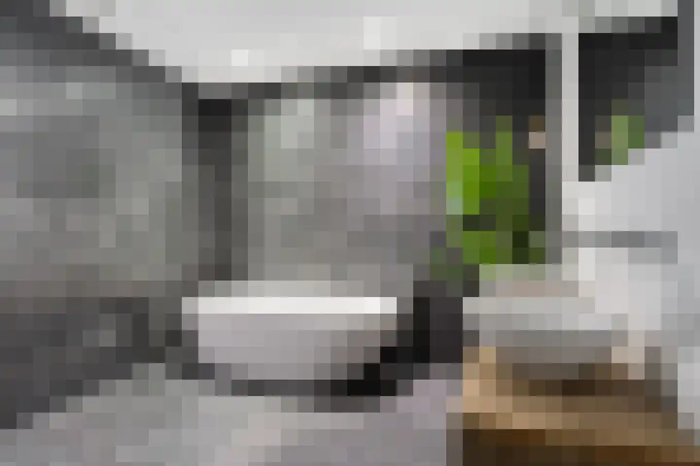 Volmolengracht 21 Leiden thumbnail 33