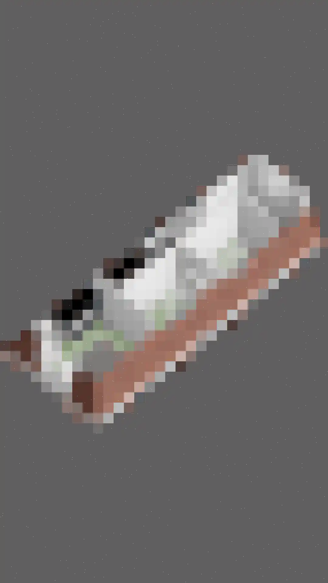 Volmolengracht 21 Leiden thumbnail 46