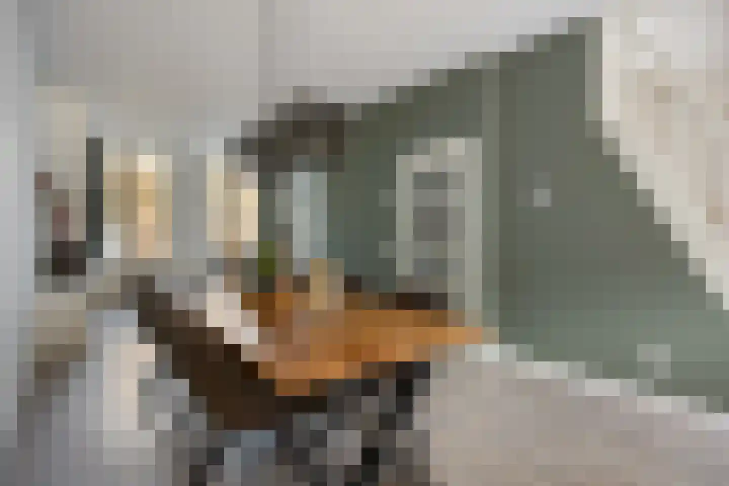 Volmolengracht 21 Leiden thumbnail 7