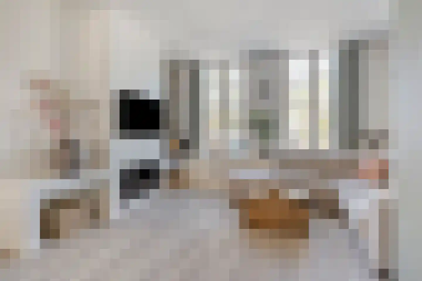 Volmolengracht 21 Leiden thumbnail 8