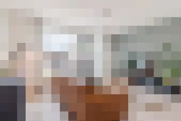 Volmolenplein 2 A Geldrop thumbnail 12