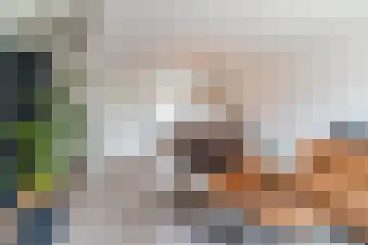 Volmolenplein 2 A Geldrop thumbnail 16