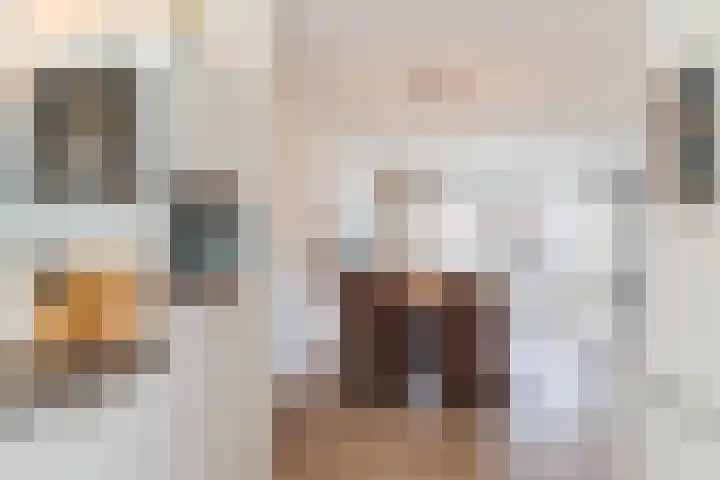 Volmolenplein 2 A Geldrop thumbnail 23