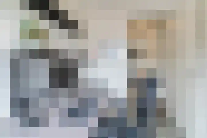 Volmolenplein 2 A Geldrop thumbnail 28