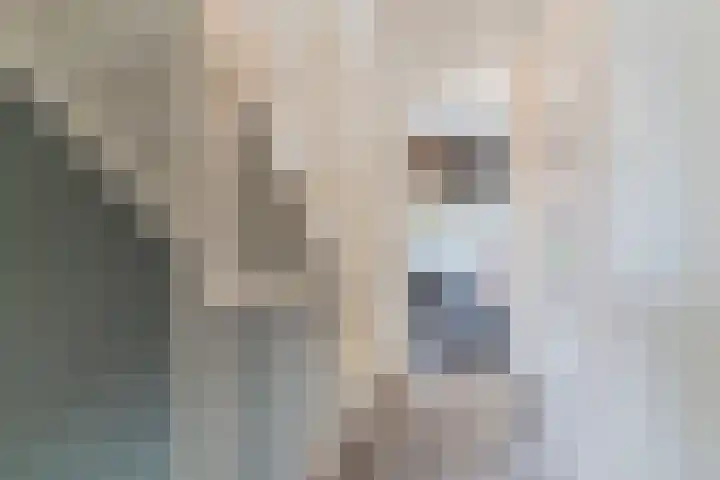 Volmolenplein 2 A Geldrop thumbnail 35