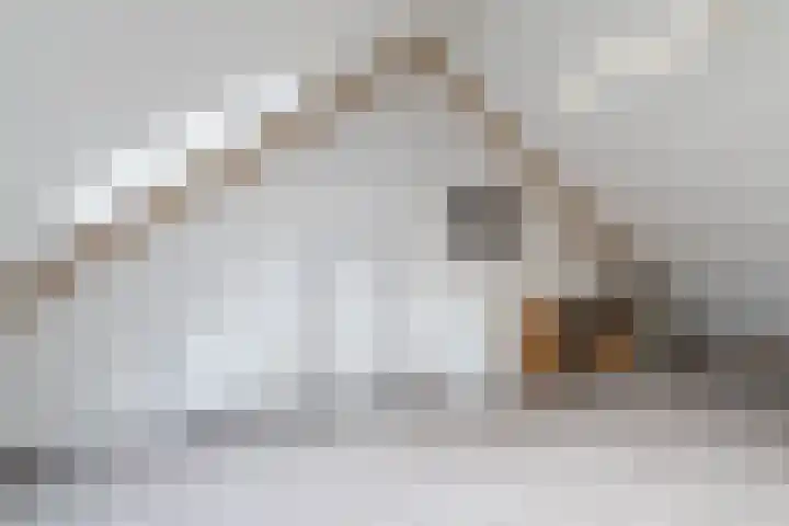 Volmolenplein 2 A Geldrop thumbnail 37