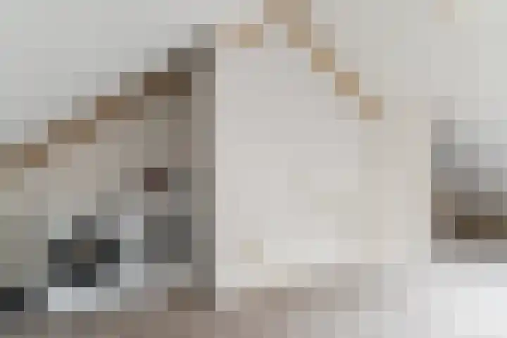 Volmolenplein 2 A Geldrop thumbnail 39